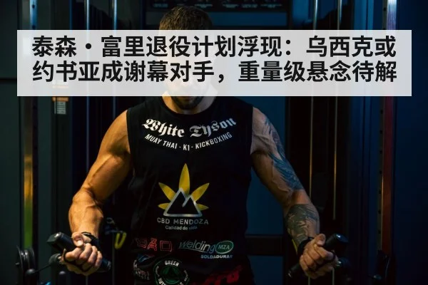 Tyson Fury boxing