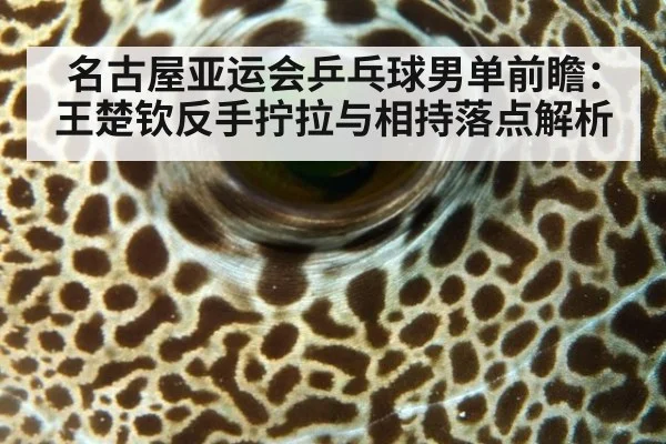 名古屋亚运会乒乓球男单前瞻：王楚钦反手拧拉与相持落点解析
