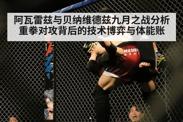 阿瓦雷兹与贝纳维德兹九月之战分析 重拳对攻背后的技术博弈与体能账